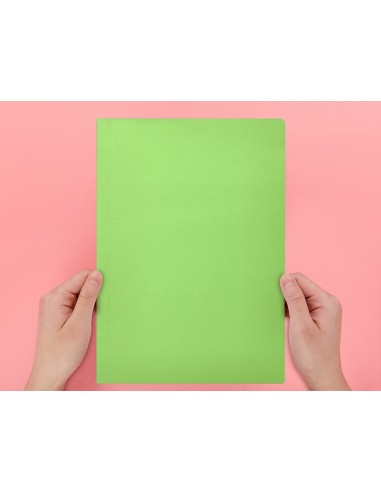 SUBCARPETA A4 180 GR. LIDERPAPEL VERDE INTENSO C/50