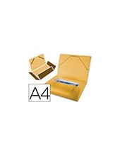 CARPETA BEAUT.PORTADOC.36851 PP DIN A4 NARANJA SERIE FROSTY LOMO 25 M 2