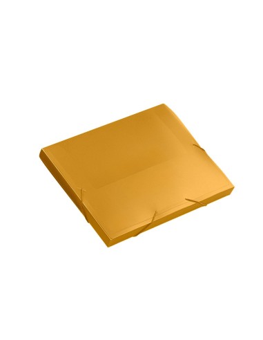 CARPETA BEAUT.PORTADOC.36851 PP DIN A4 NARANJA SERIE FROSTY LOMO 25 M