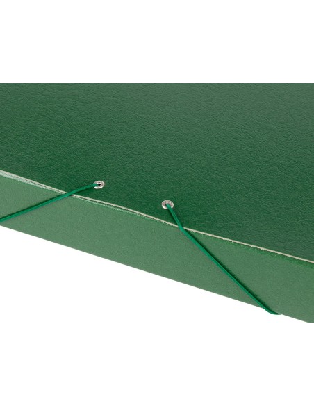 CARPETA PROYECTOS LOMO 7 CM VER CARTON