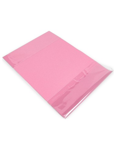 FORRALIBRO LIDERPAPEL CON SOLAPA AJUSTABLE ADHESIVO 285 x 530 MM AD08