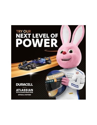 PILAS DURACELL ALCALINA PLUS AA BLISTER C/4 PILAS