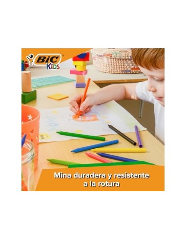 LAPICES CERA PLASTIDECOR CAJA DE 352 COLORES