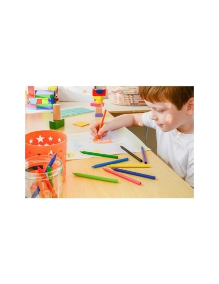LAPICES CERA PLASTIDECOR CAJA DE 352 COLORES