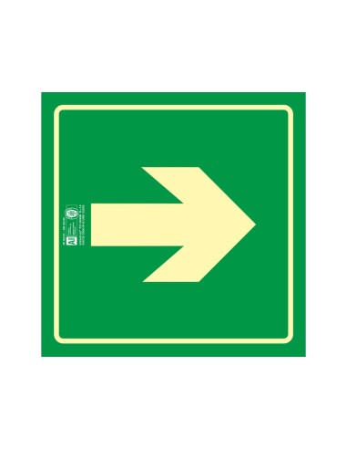 PICTOGRAMA SYSSA SEÑAL VIA EVACUACION PVC FOTOLUMINISCENTE 224X224 MM