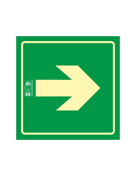PICTOGRAMA SYSSA SEÑAL VIA EVACUACION PVC FOTOLUMINISCENTE 224X224 MM