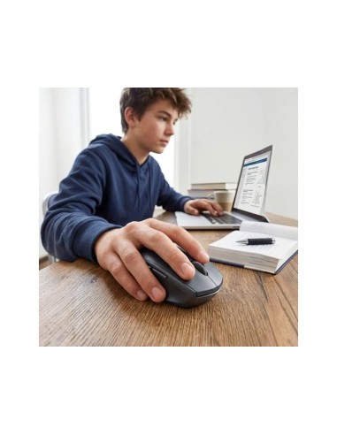 RATON NGS BEE 800/1200/1600 DPI INAL 5 BOT RECEPTOR USB-A 2,4 GHZ NG.