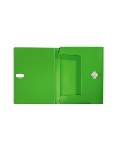 CARPETA PROYECTOS LEITZ RECYCLE A4 PP. LOMO 38MM VE.