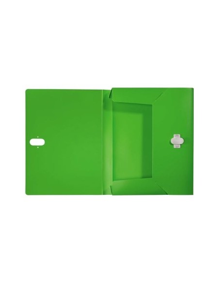 CARPETA PROYECTOS LEITZ RECYCLE A4 PP. LOMO 38MM VE.