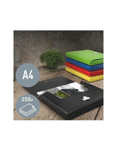 CARPETA PROYECTOS LEITZ RECYCLE A4 PP. LOMO 38MM AM.