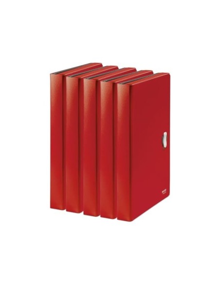 CARPETA LEITZ RECYCLE CLASIFICADOR FUELLE PP. 5+1 COMP.DIN A4 RJ.