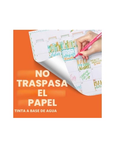 ROTULADOR PAPER MATE FLAIR PASTEL FIBRA 12 UD.SURT.