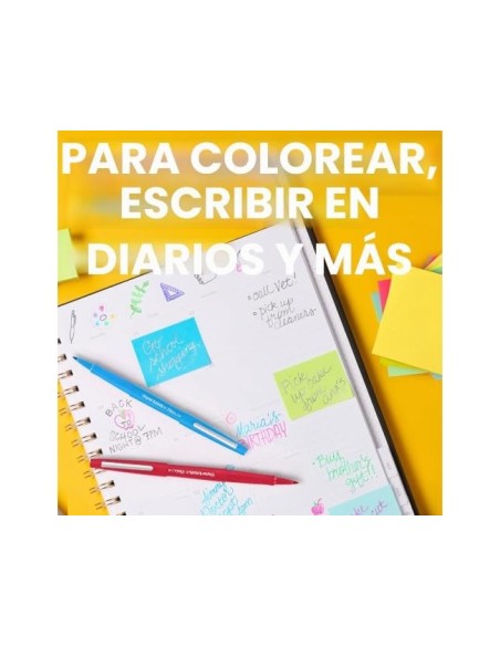 ROTULADOR PAPER MATE FLAIR PASTEL FIBRA 12 UD.SURT.