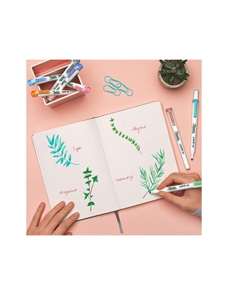 ROTULADOR SHARPIE SNOTE DUO ASST 8 UD.SURT.