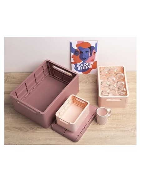 CAJA MULTIUSOS EXACOMPTA SMARTCASE A5+ PLAST.PLEGAB ROSA 275X40X190MM