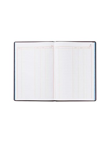 LIBRO MIQUELRIUS FL.100 H. CUENTAS CORRIENTES DEBE HABER Y SALDO