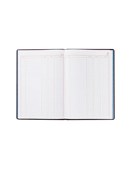LIBRO MIQUELRIUS FL.100 H. CUENTAS CORRIENTES DEBE HABER Y SALDO