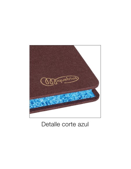 LIBRO MIQUELRIUS FL.100 H. CUENTAS CORRIENTES DEBE HABER Y SALDO