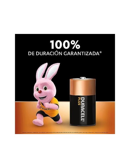 PILA DURACELL ALCALINA D BLISTER C/2 PILAS LR20**23401062