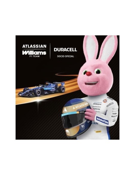 PILA DURACELL ALCALINA D BLISTER C/2 PILAS LR20**23401062