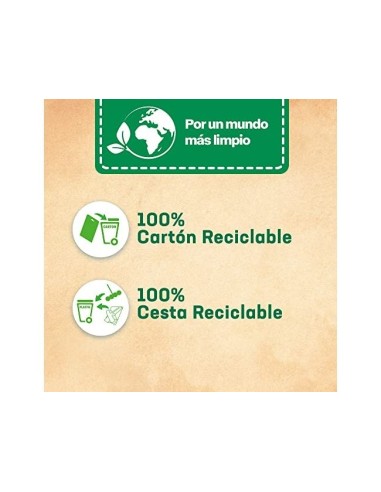 DESINFECTANTE AMBIENTADOR INODORO BREF WC PODER ACTIVO NATURAL 51 G