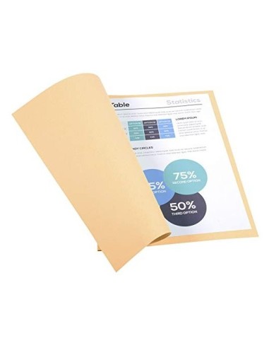 SUBCARPETA A4 170 GR. EXACOMPTA CREMA C/100