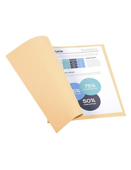 SUBCARPETA A4 170 GR. EXACOMPTA CREMA C/100