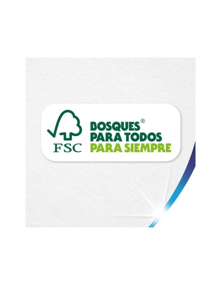PAÑUELO DE PAPEL COLHOGAR PAQUETE CON 10 PAÑUELOS
