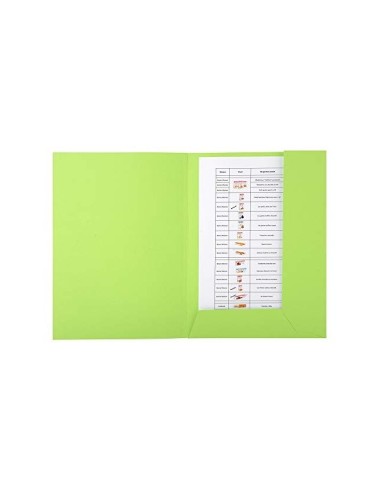 SUBCARPETA RECICLADA A4 280 GR. EXACOMPTA 2 SOLAPAS VERDE