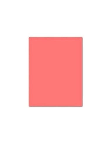 CARTULINA GUARRO ROSA 50X65 CM 185 GR