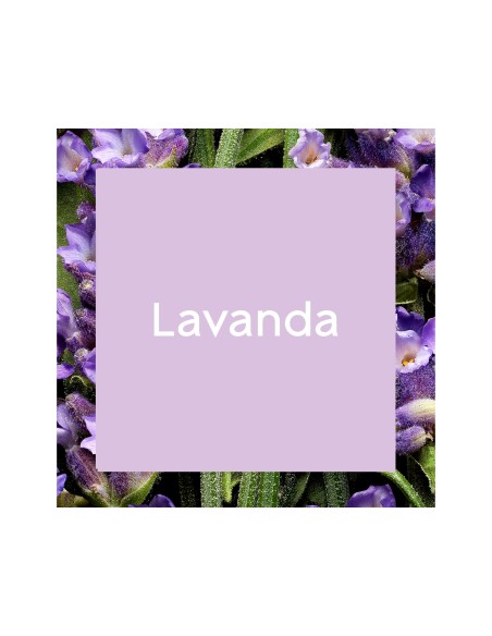 AMBIENTADOR SPRAY BRISE OLOR LAVANDA 300 ML