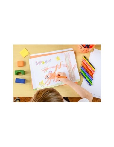LAPICES CERA PLASTIDECOR CAJA 18 COL.
