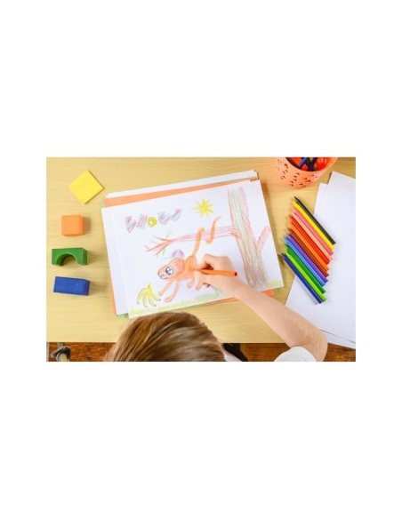LAPICES CERA PLASTIDECOR CAJA 18 COL.