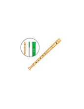 FLAUTA HOHNER PLASTICO 9508 FUNDA VERDE 2