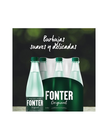 AGUA MINERAL NATURAL CON GAS FONTER BOTELLA DE 500ML