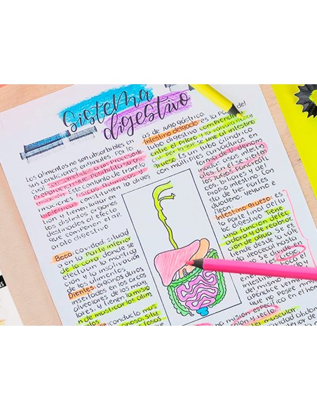 LAPICES DE COLORES LIDERPAPEL JUMBO NEON ROSA