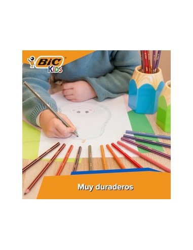 LAPICES COLORES BIC EVOLUTION STRIPES C.24 SURT.