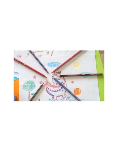 LAPICES COLORES BIC EVOLUTION STRIPES C.24 SURT.