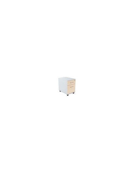 CAJONERA ROCADA 2 CAJ.SERIE STORE 58X40X59,5 CM AB01 GRIS./HAYA