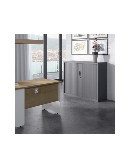 ARMARIO ROCADAC/2 PUERTAS PERSIANA 2 BALDA STORE 120X105X45CM AC00