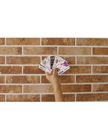 IMPRESORA TARJETA BADGY 200 INCLUYE CINTA 100 TARJETAS BADGE STUDIO+