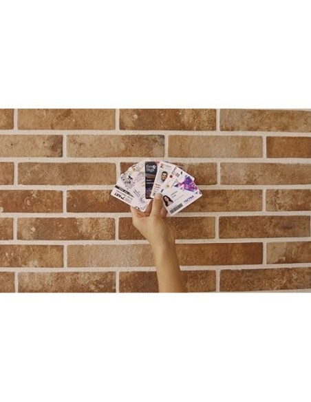 IMPRESORA TARJETA BADGY 200 INCLUYE CINTA 100 TARJETAS BADGE STUDIO+