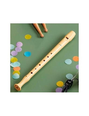 FLAUTA HOHNER 9508 VIO.FUNDA VER.,TRANSPARENTE