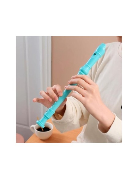 FLAUTA HOHNER 9508 VIO.FUNDA VER.,TRANSPARENTE