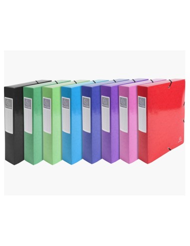 CARPETA PROYECTO EXACOMPTA CARTON LUSTRADO PLAST.A4 60MM SURT.