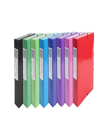 CARPETA PROYECTO EXACOMPTA CARTON LUSTRADO PLAST.A4 60MM SURT.