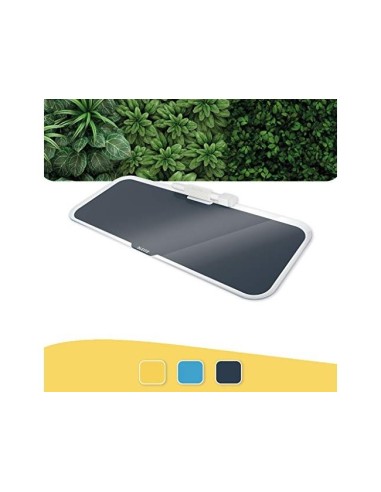 PIZARRA LEITZ COSY CRISTAL ROTULADOR BORRADOR GRIS 150X60X380MM