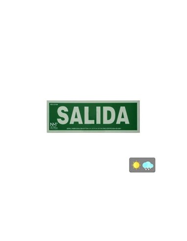 PICTOGRAMA ARCHIVO 2000 SALIDA PVC VE. LUMINISC 300X105MM PK.DE 2 UD.