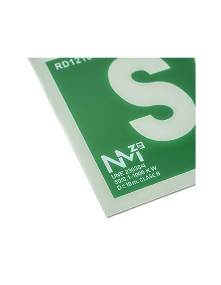 PICTOGRAMA ARCHIVO 2000 SALIDA PVC VE. LUMINISC 300X105MM PK.DE 2 UD.