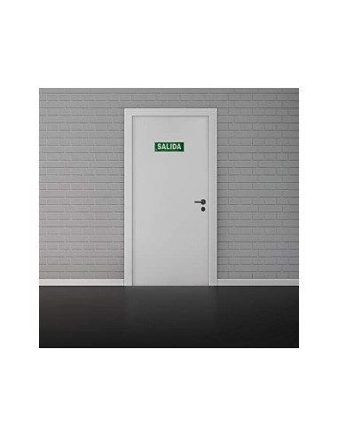 PICTOGRAMA ARCHIVO 2000 SALIDA PVC VE. LUMINISC 300X105MM PK.DE 2 UD.